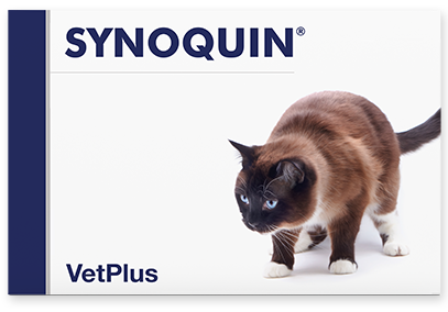 SYNOQUIN FOR CATS