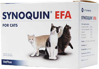 SYNOQUIN EFA FOR CATS